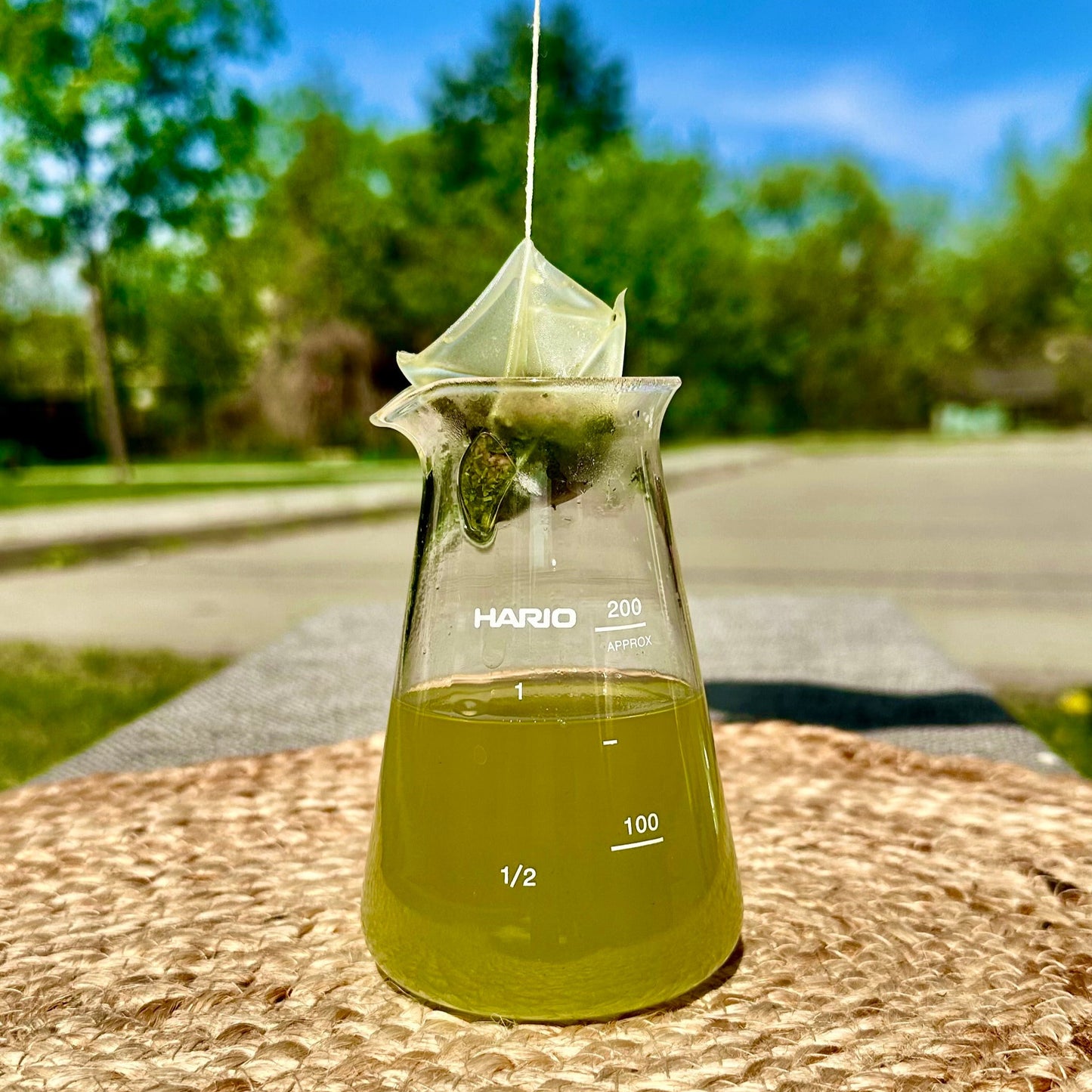 Takayanagi Asahina Matcha Powder